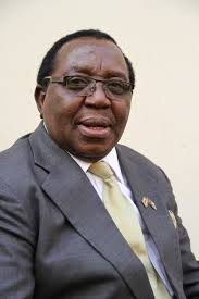 Form Matabelelanbd South: Zanu-PF national chairman, Simon Khaya Moyo.